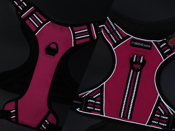dog harness