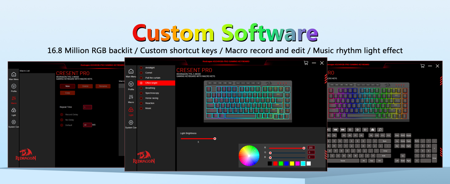 custom software