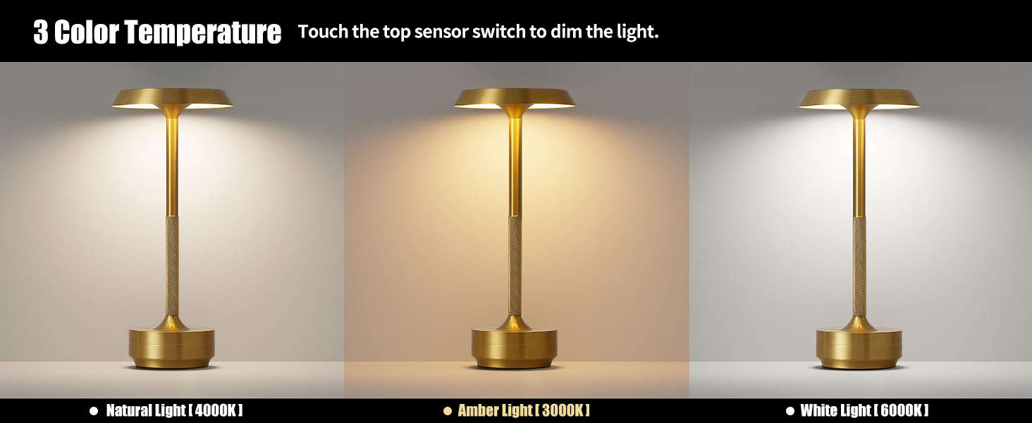 GKKBO Wireless Table Lamp Rechargeable 5000mAh Battery Powered