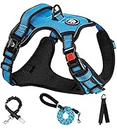 Blue and black dog harness with adjustable straps, mesh padding, and reflective trim. Includes matching black leash and accessories. Adventure-style design with multiple adjustment points.