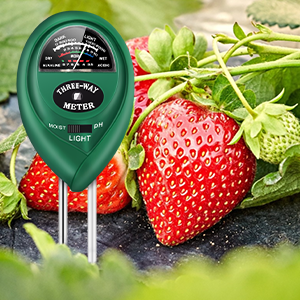 Plant pH Testing