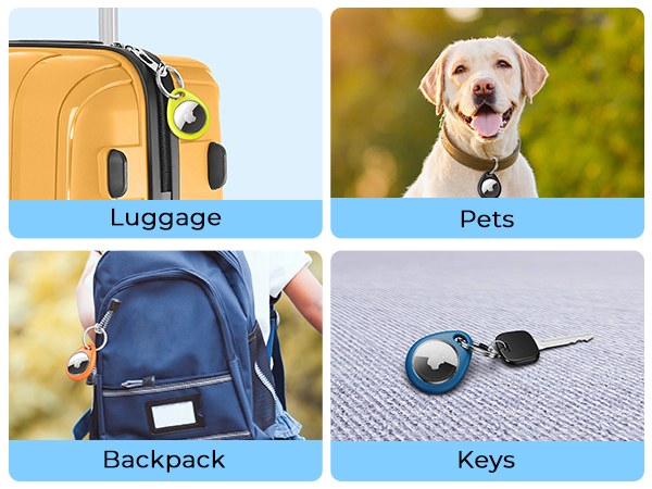Composite image showing four panels: yellow luggage with a circular tag, a smiling yellow Labrador, a blue backpack with an attached tag, and a blue circular keychain with keys.
