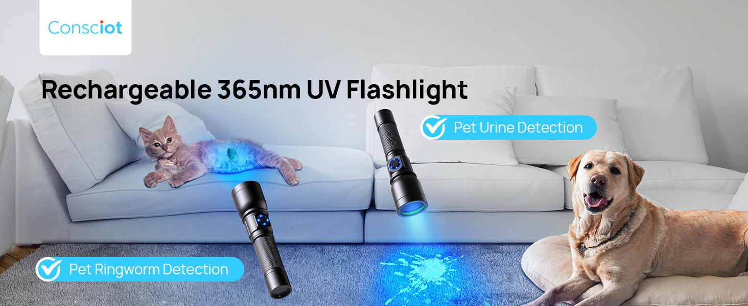 365nm uv flashlight