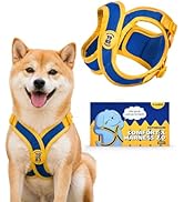 PETHROOM Comfort-X Dog Harness 2.0 – Step-In Lightweight Vest, No Choke, Easy On/Off with One-Tou...