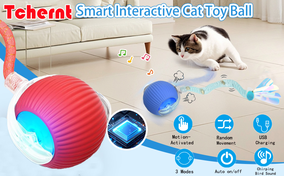 cat toys for indoor cats