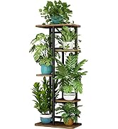 LINZINAR Plant Stand 5 Tier 6 Plant Multiple Flower Rack Holder Shelves Rack Storage Organizer Di...