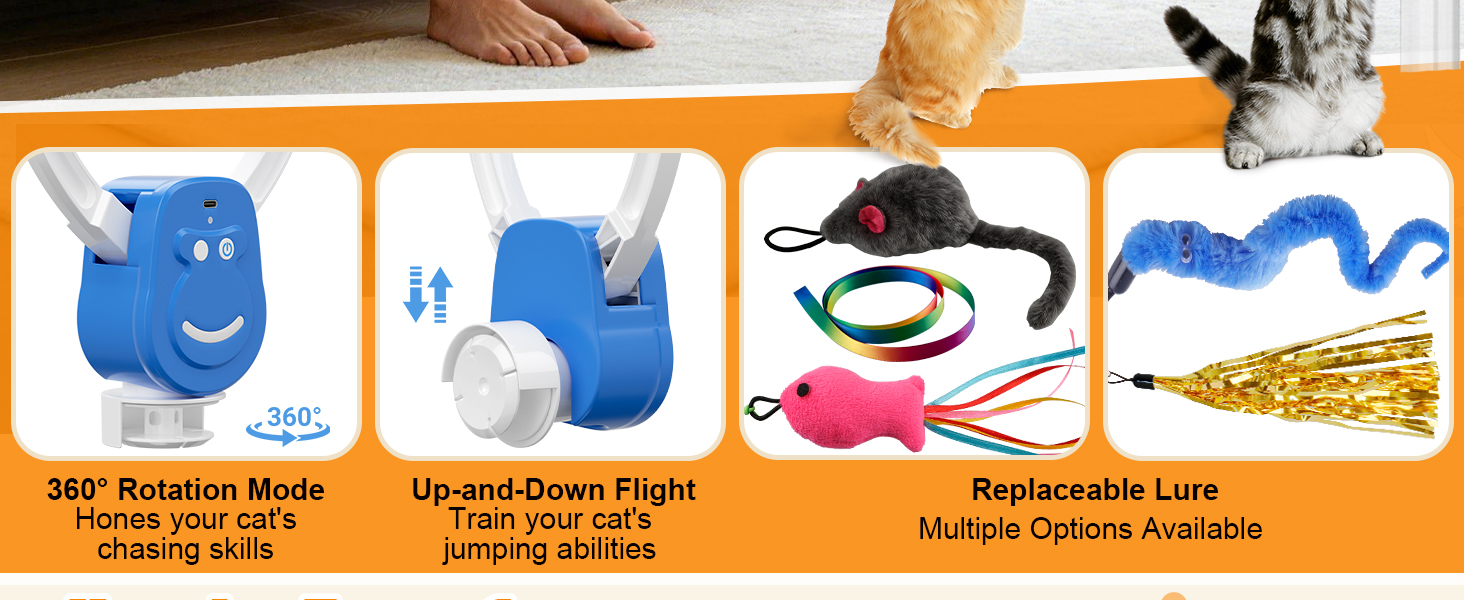 hanging cat toy