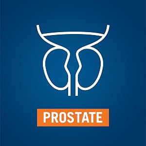 Prostate