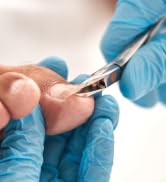 Toenail Cutter