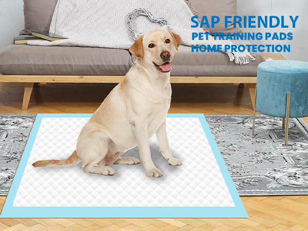 Pee Pads for Dogs