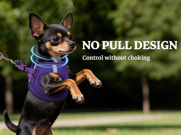 NO PULL DESIGN