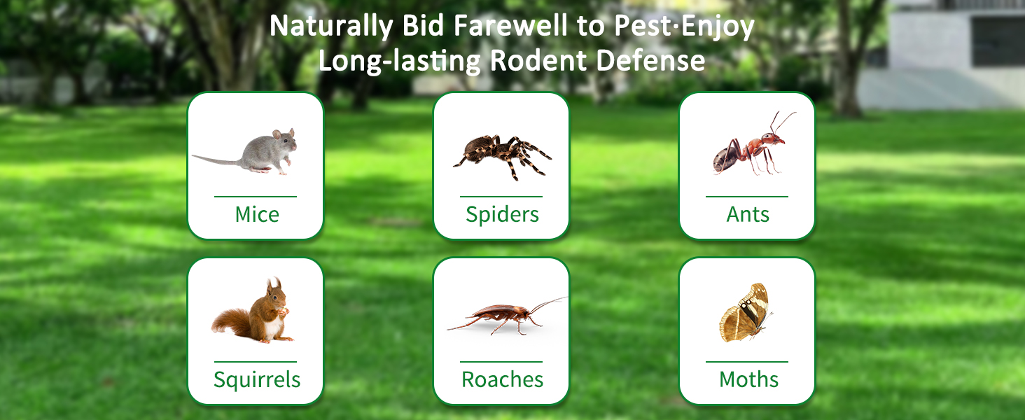 Mouse Rodent Repellent