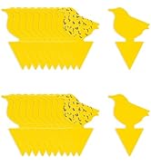 Carbelina Fruit Fly Traps for Indoors Sticky, Gnat Traps for House Indoor Plants, Fungus Gnat Sti...