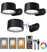 AMETHEUS Picture Lights for Wall, 2000mAh Rechargeable Magnetic Art Lights with 3 Color Temps & R...