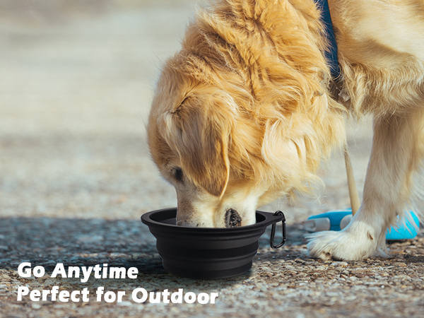 portable dog water bowl