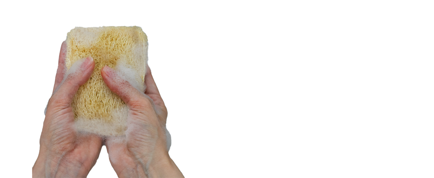 natural loofah dish sponge