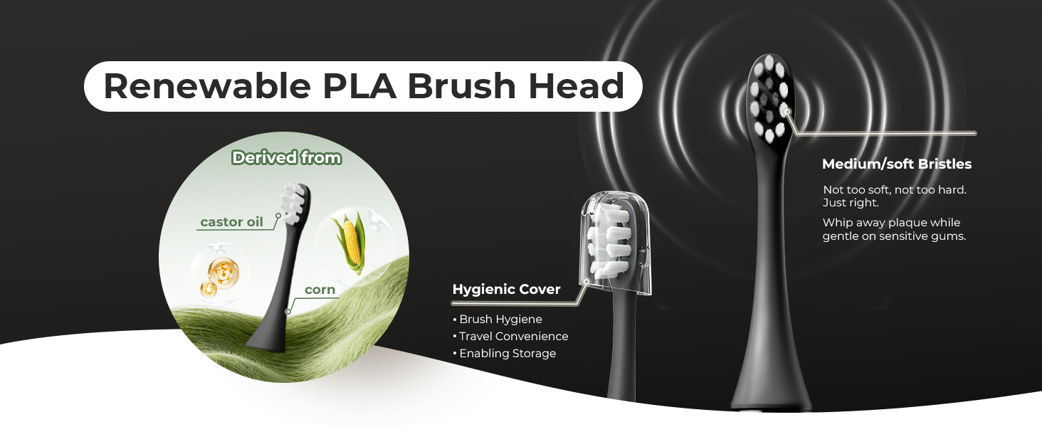 toothbrush replacement heads