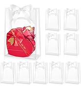 Ohuimrt 12 Pack Clear Plastic Gift Bags with Handles, Reusable Party Favor Bags with Ribbon for M...