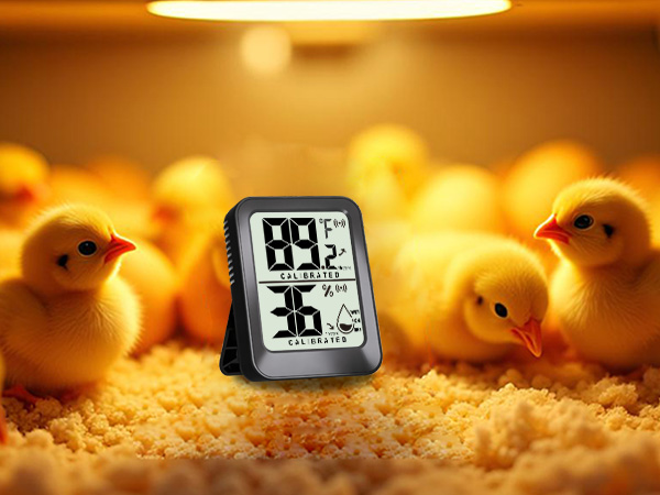indoor thermometer for room temperature analog