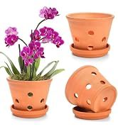 Jucoan 3 Pack 6 inch Terracotta Orchid Pots with Holes and Saucers, Small Clay Flower Pots Terra ...