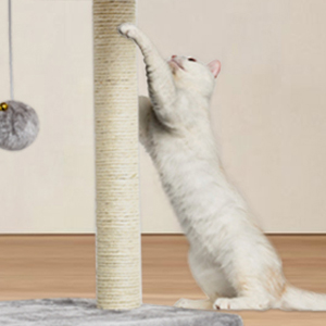 scratching post