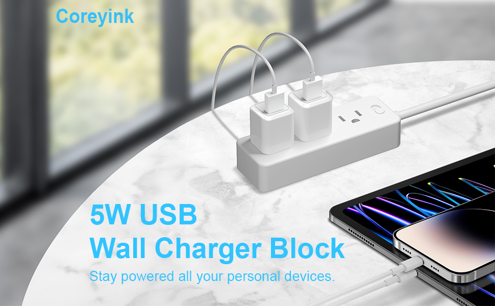 iPhone charger