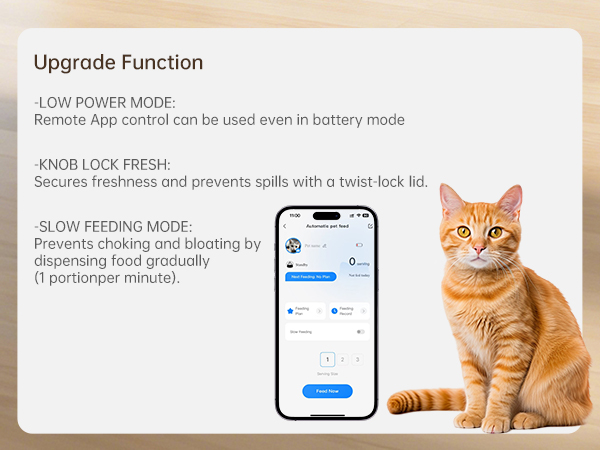 cat feeding station automatic pet feeder timed cat feeder automatic feeder cat dry food