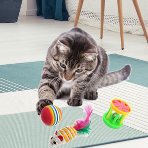 cat tunnel