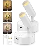 GOODEA Spotlights Indoor with Remote, 3000mAh Rechargeable Battery Plant Spotlight Indoor, Wirele...