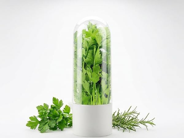 herb keeper