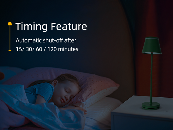 lamp with timer