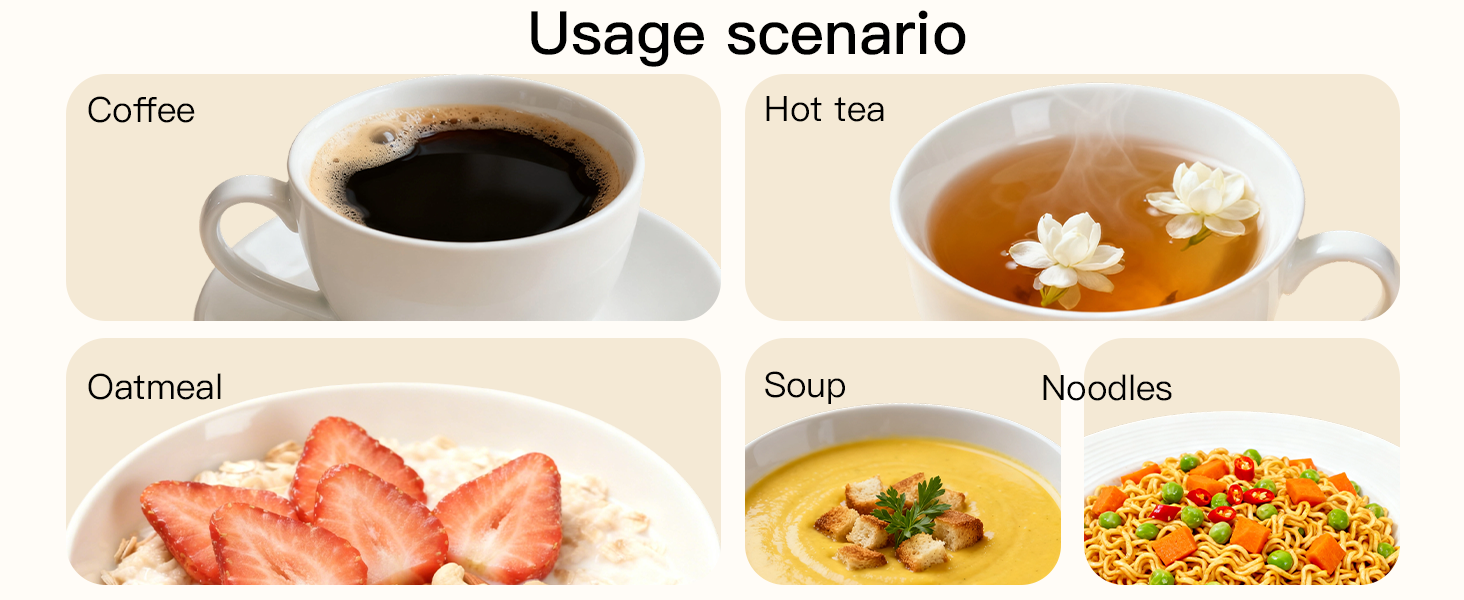 Electric Water Kettle