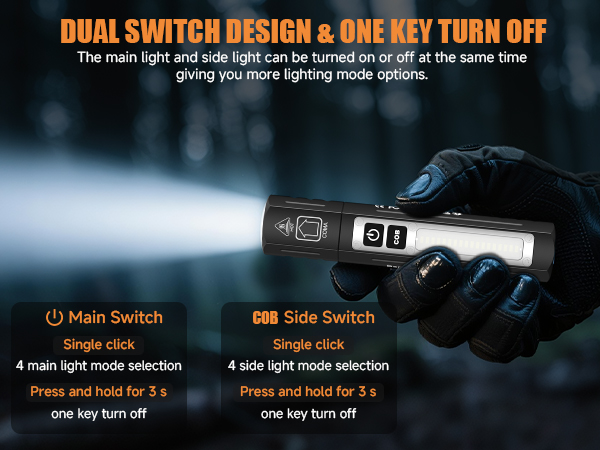 DUAL SWITCH DESIGN