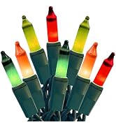 HISHINY Christmas String Lights 100 Count Pastel Mini Decorations Lights with Green Wire for Chri...