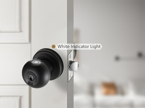 White Indicator Light