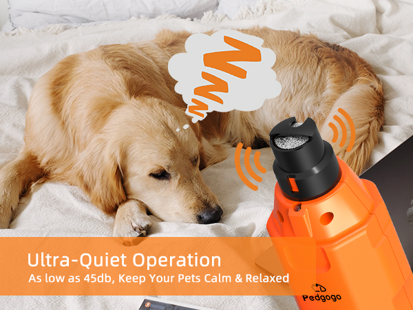 Ultra Quiet Operation