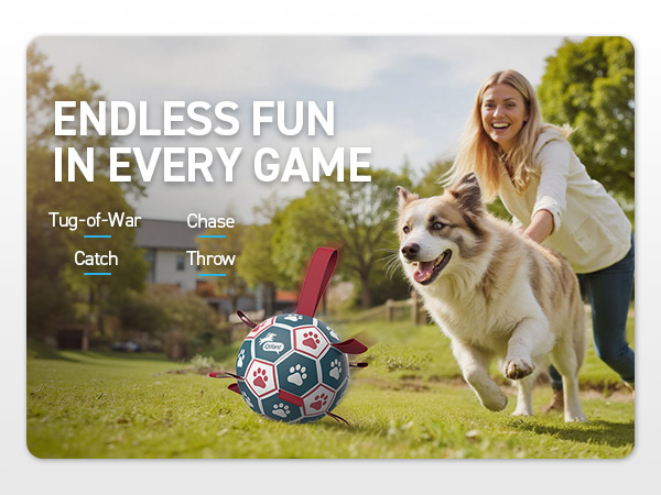 balls for dogs