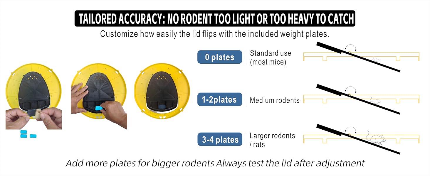 bucket lid mouse trap with weight plates for adjustable sensitivity.