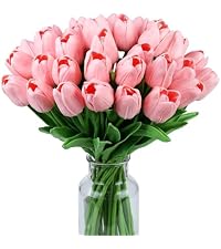 https://m.media-amazon.com/images/S/aplus-media-library-service-media/74a151be-fc14-45af-a1d4-089e7471bd32.__AC_SR200,225___.jpg