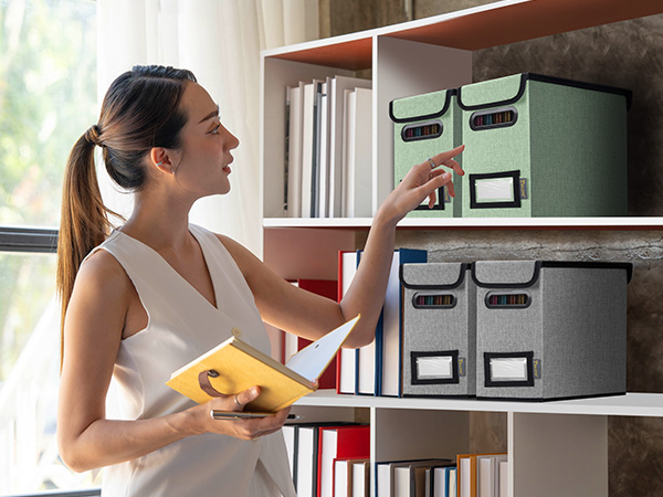 file organizer