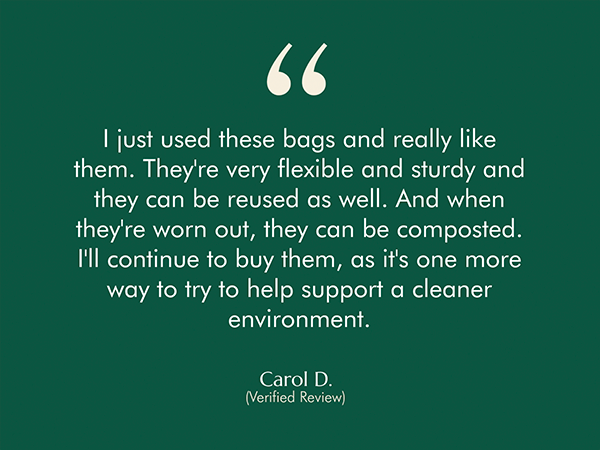 cleanomic quart zip bag