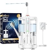 OILSAO Electric Toothbrush with Water Flosser Combo in One, Professional Flossing Toothbrush for ...