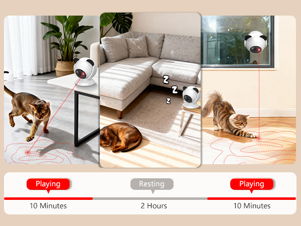 smart cat toy