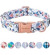 Unique style paws Dog Collar Metal Buckle Collar Gift for Small Medium Large Boys Girls Dogs