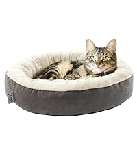 https://m.media-amazon.com/images/S/aplus-media-library-service-media/cc115bfb-20b4-4c70-86c2-2fdd72555343.__CR0,0,400,450_PT0_SX200_V1___.jpg