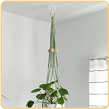 Plant Hooks