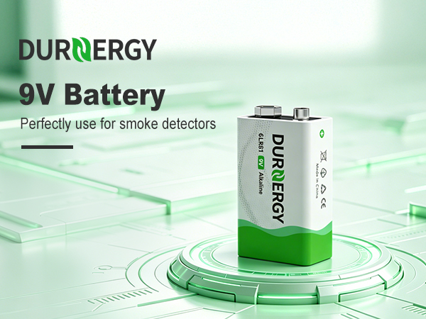 6LR61 9V battery