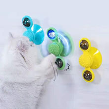 cat toys