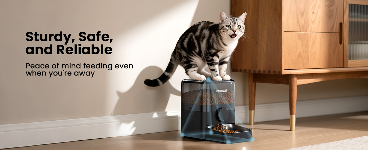 auto cat feeder