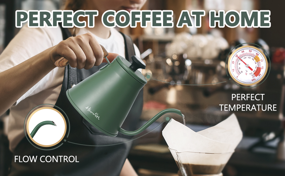 gooseneck kettle for stovetop